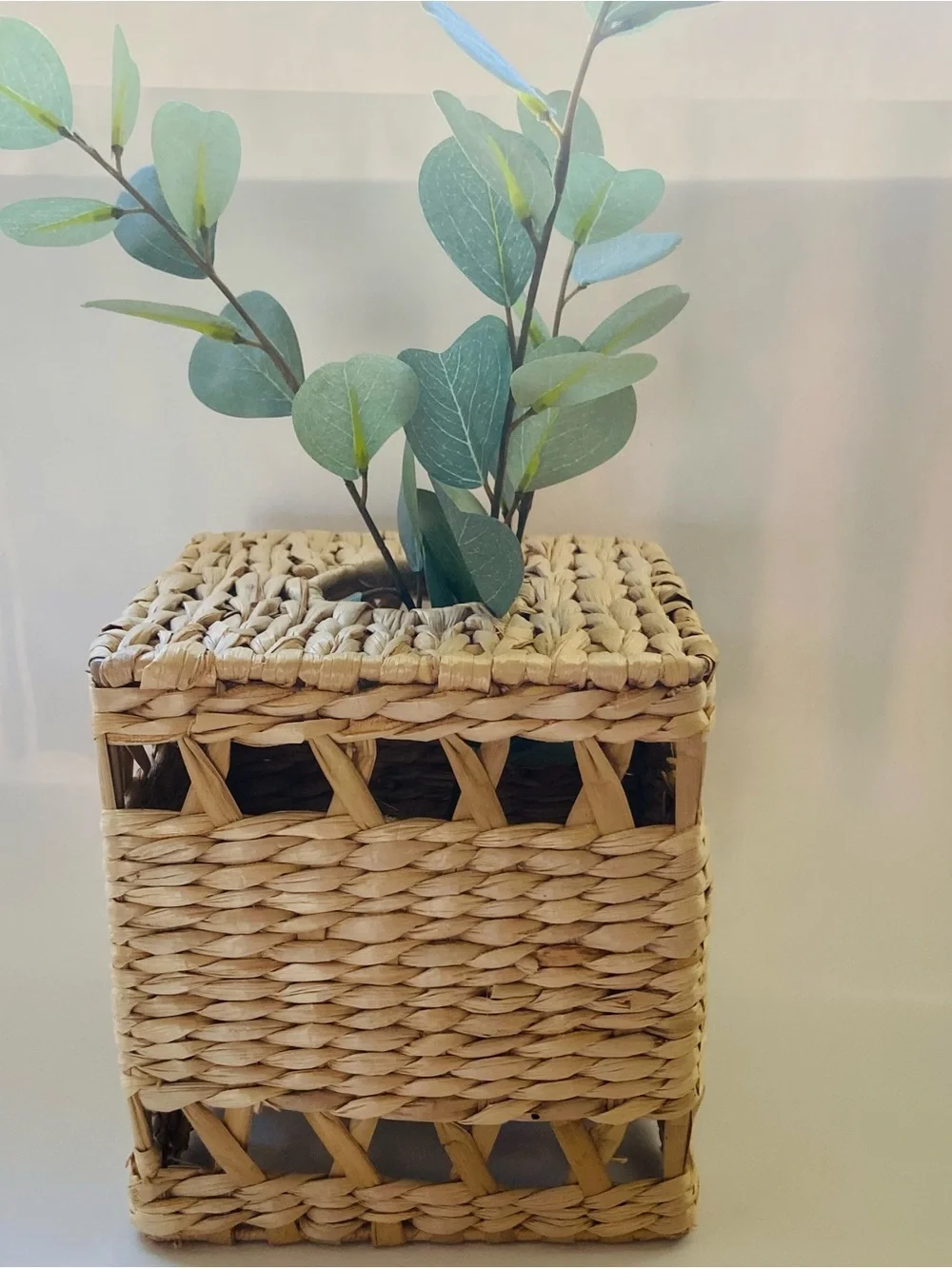 Boho Natural Woven Square Basket (Vase, Plant Stand, or Tissue Box)